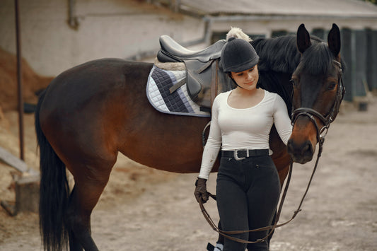 Why Leather Headcollar for Travelling? The Complete Guide for Horse Owners