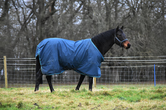 Are Fly Rugs Waterproof? What Every Horse Owner Should Know Before Buying