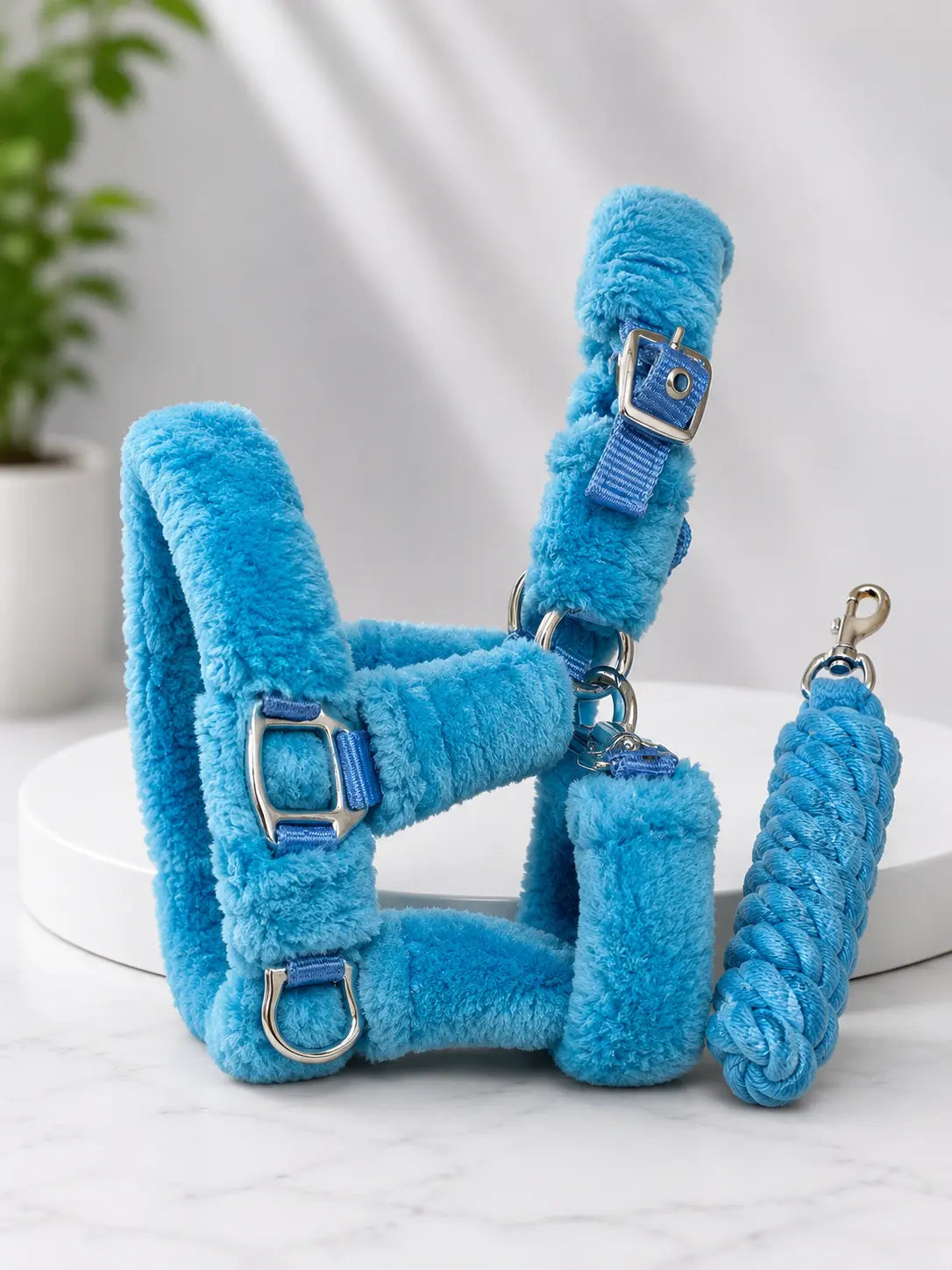 Turquoise Fluffy Headcollar