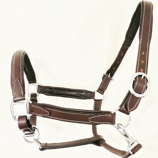 Beautiful Show-Stitching Leather Headcollar – Padded Comfort (Wholesale)