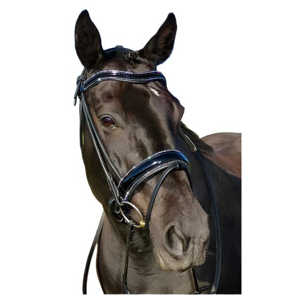Criterion Round Rolled Bridle – Patent or Matt with Crystals or Plain