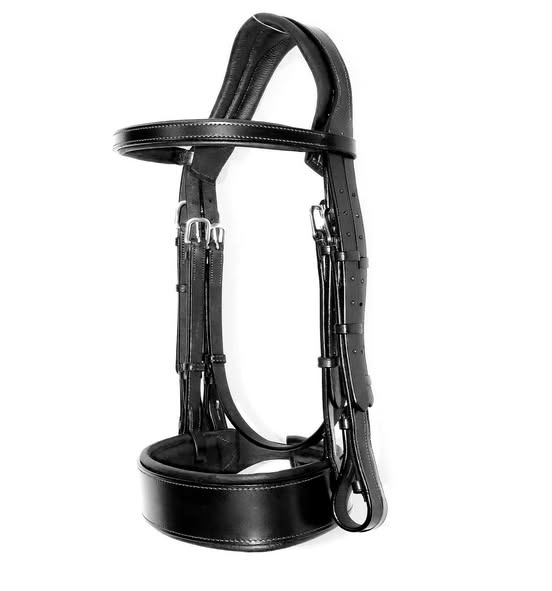 Criterion Hunter Bridle – Anatomical Freeway Headpiece & 2" Cavesson | Wholesale