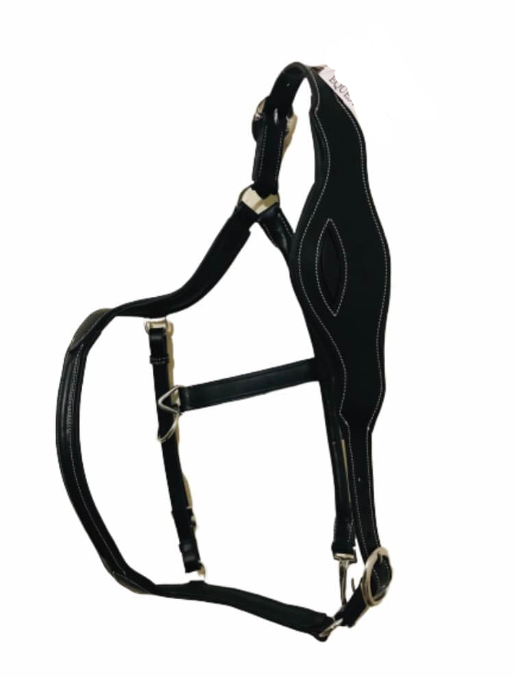 Anatomical Headcollar – Wholesale