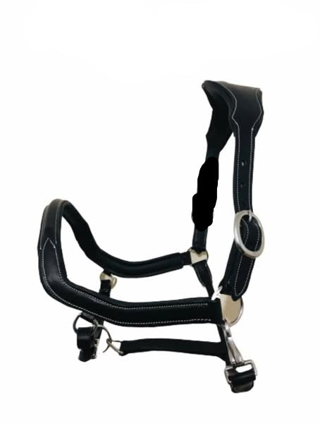 Anatomical Headcollar – Wholesale