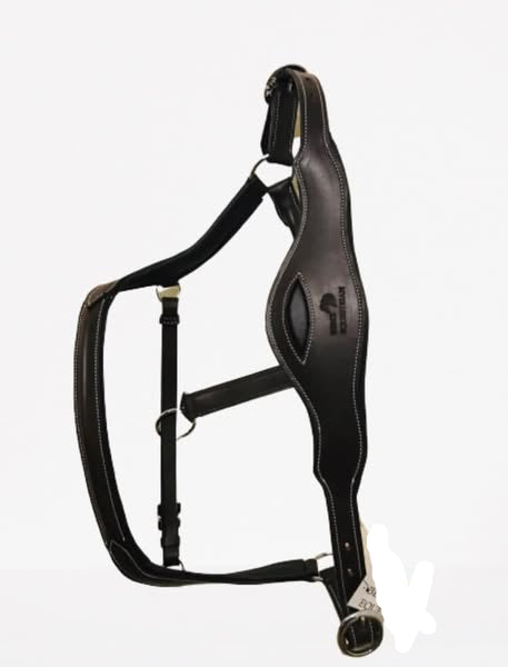 Anatomical Headcollar – Wholesale