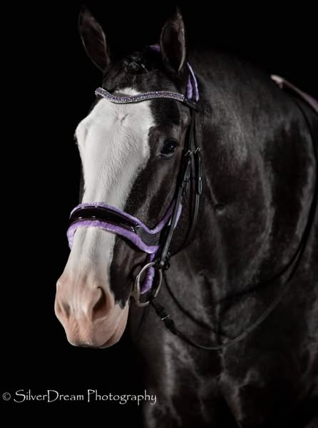 Fancy Patent Leather Bridle with Rubber Grip Reins | Wholesale