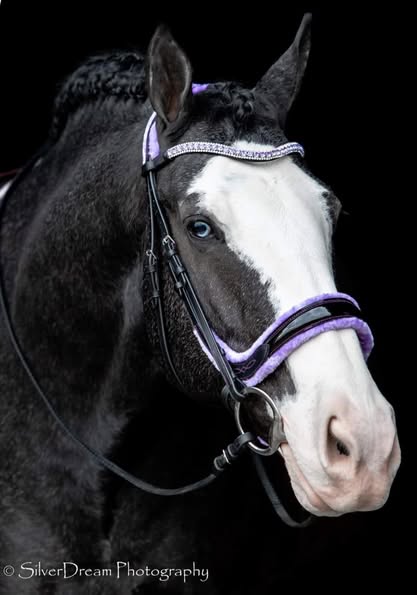 Fancy Patent Leather Bridle with Rubber Grip Reins | Wholesale