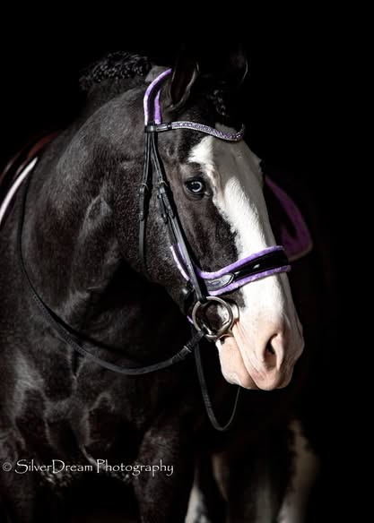 Fancy Patent Leather Bridle with Rubber Grip Reins | Wholesale