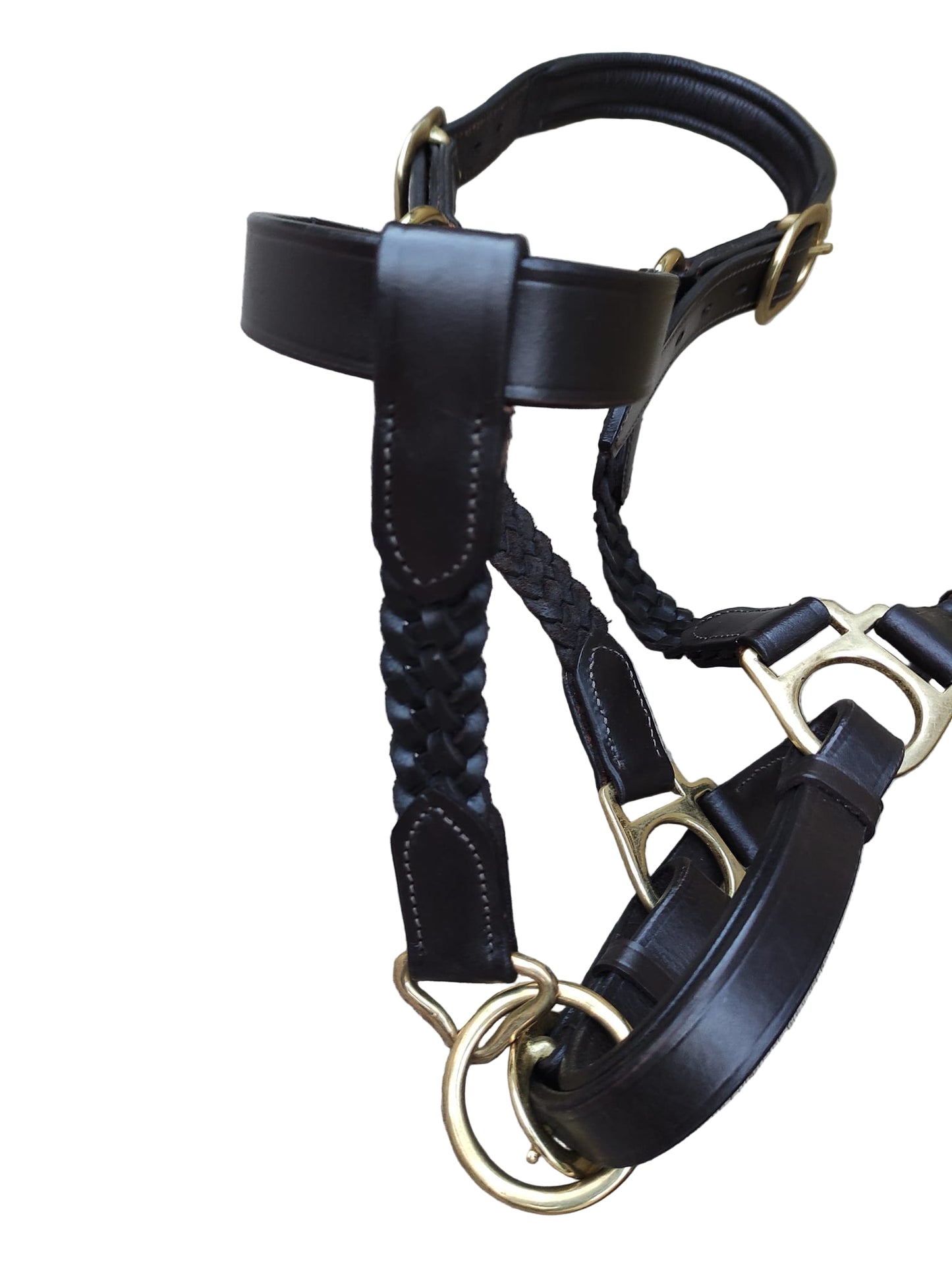 Wholesale Plaited Padded Leather Headcollar – Soft, Adjustable & Durable
