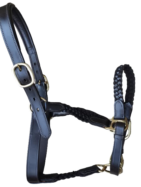 Wholesale Plaited Padded Leather Headcollar – Soft, Adjustable & Durable
