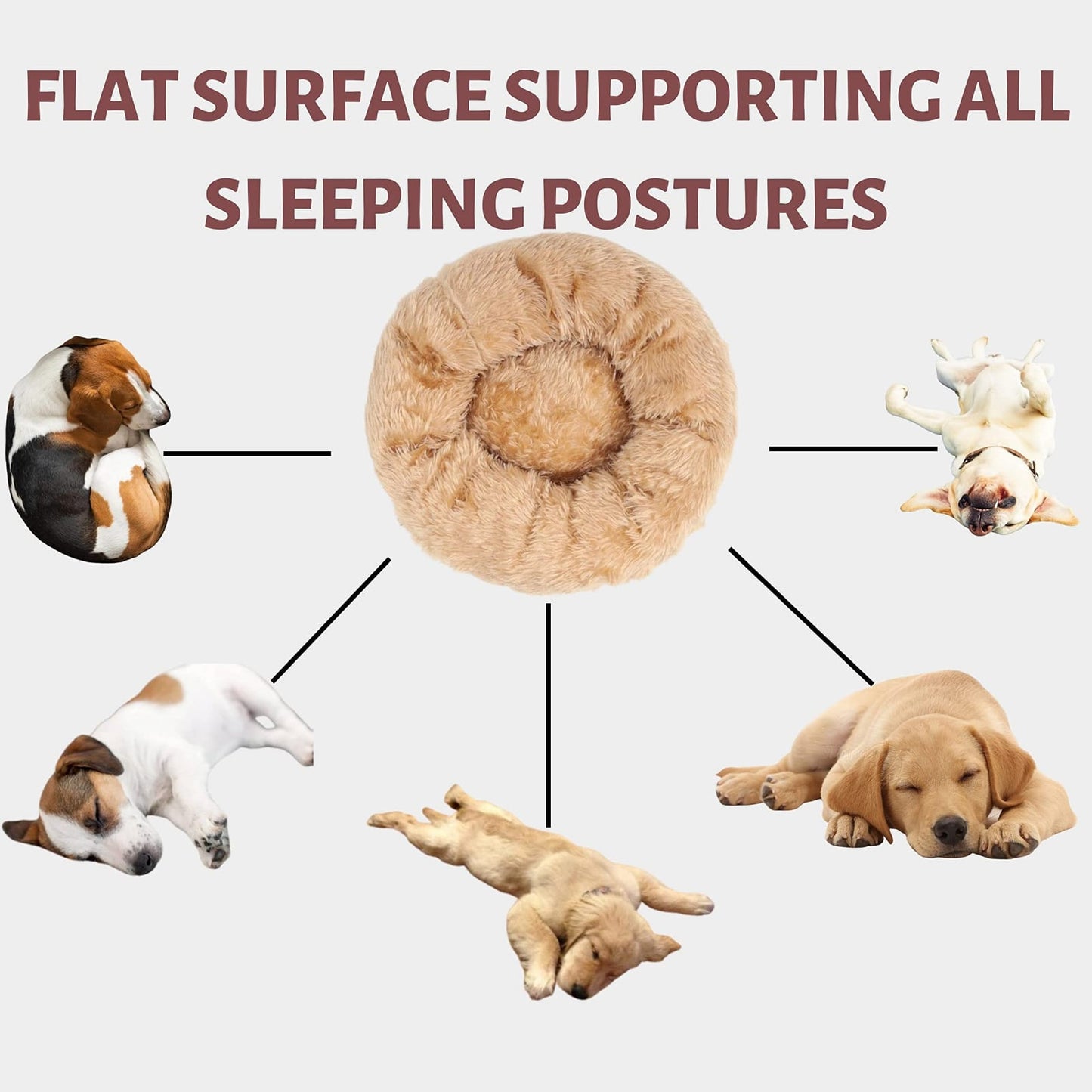 Criterion Calming Donut Dog Bed – Wholesale Pet Beds for B2B
