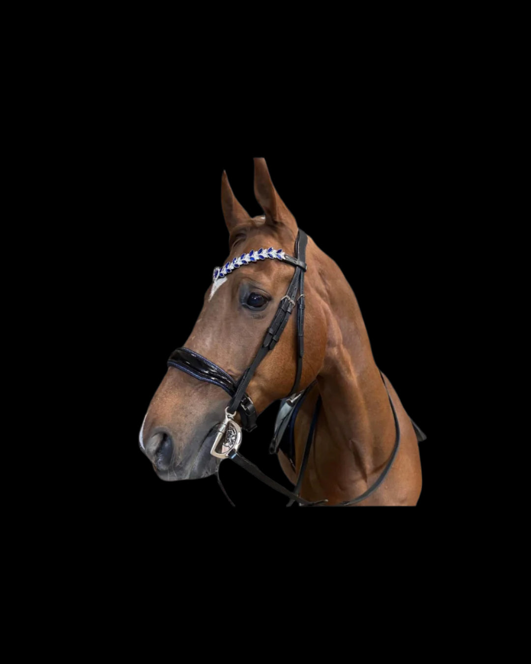 Monocrown Tiara Bridle – Patent Black Leather with Blue Browband | B2B Wholesale