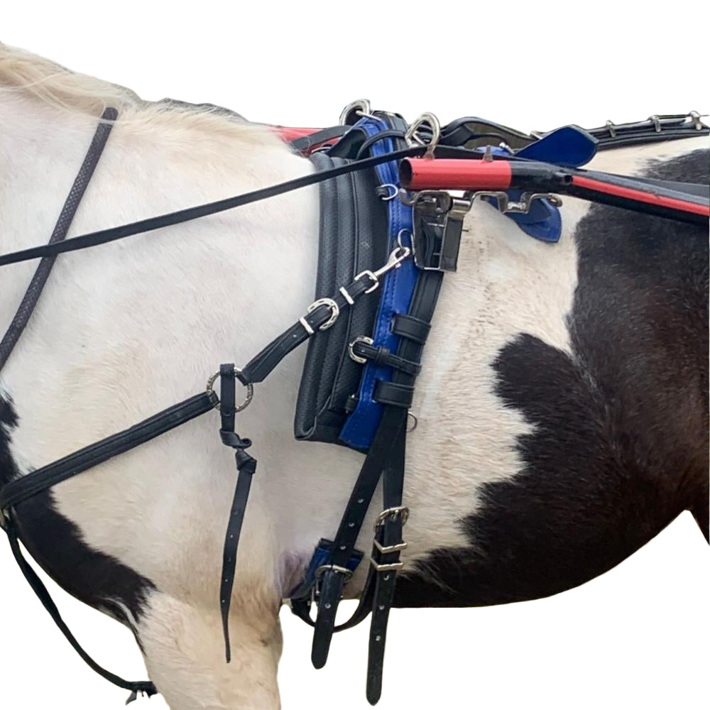Wholesale Biothane Quick Hitch Harness with Waffle Pad – Blue & Black | Criterion