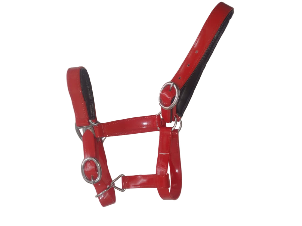 Padded Biothane Head Collar – Red | Waterproof, Padded & Durable | Wholesale