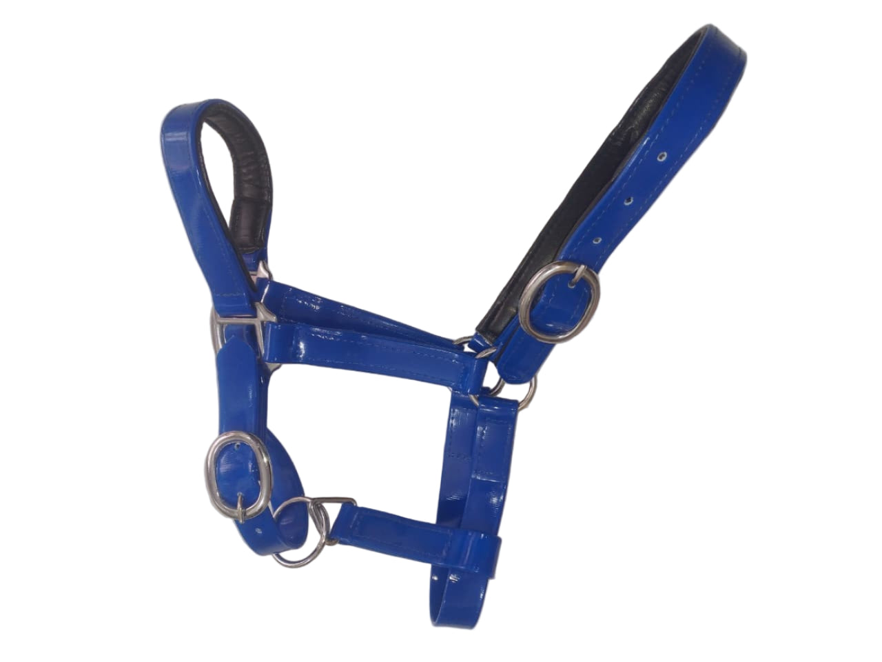Padded Biothane Head Collar – Blue | Waterproof, Padded & Durable | Wholesale