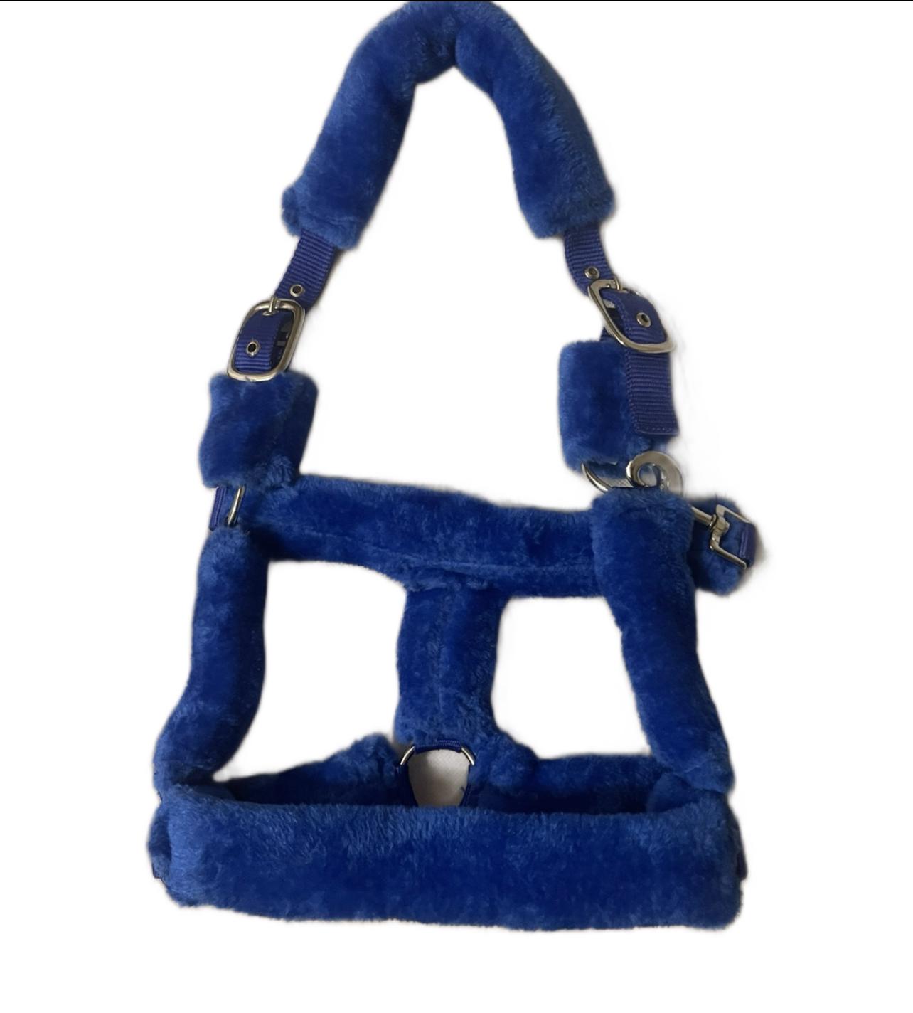 Blue Fur Head Collar | Wholesale Adjustable & Padded Design