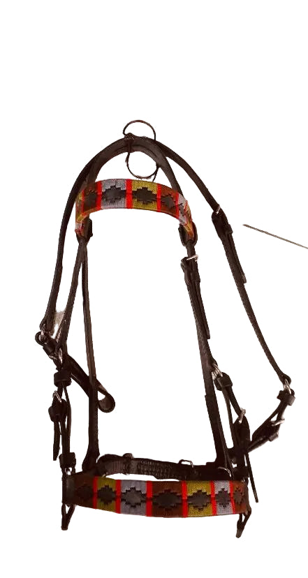 Horse bridle with colorful pattern on a tiled floor