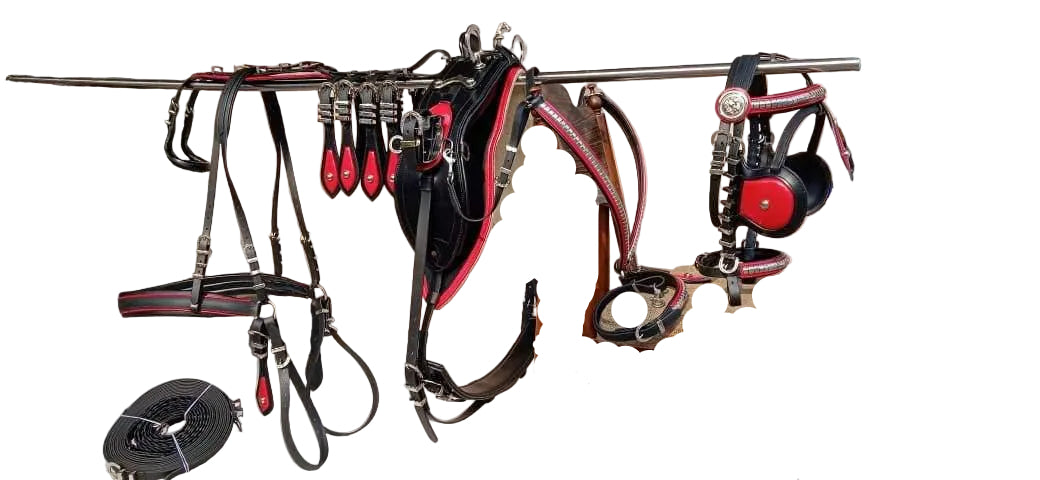 Horse tack including a bridle and reins on a chair in an indoor setting.
