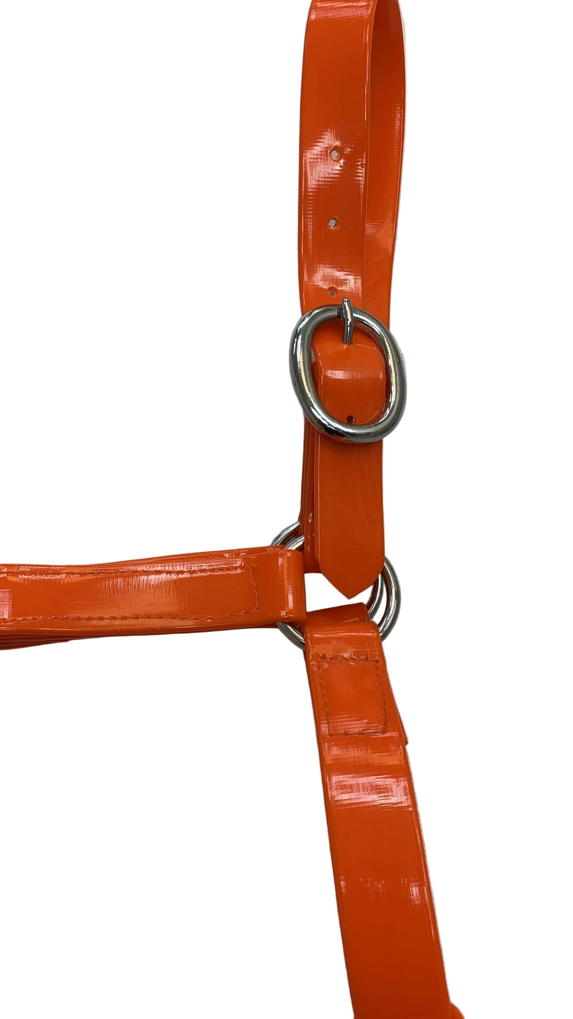 Padded Biothane Head Collar – Orange | Waterproof, Padded & Durable | Wholesale