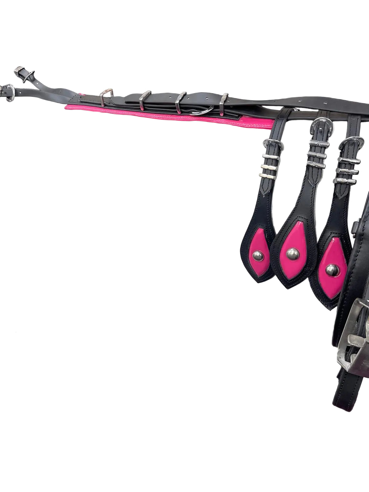Quick Hitch Biothane Driving Harness with Waterproof Waffle Pad – Made to Order