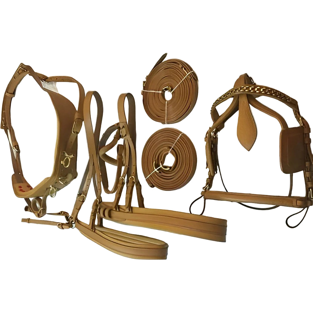 Set of brown leather horse bridle and reins on a white background