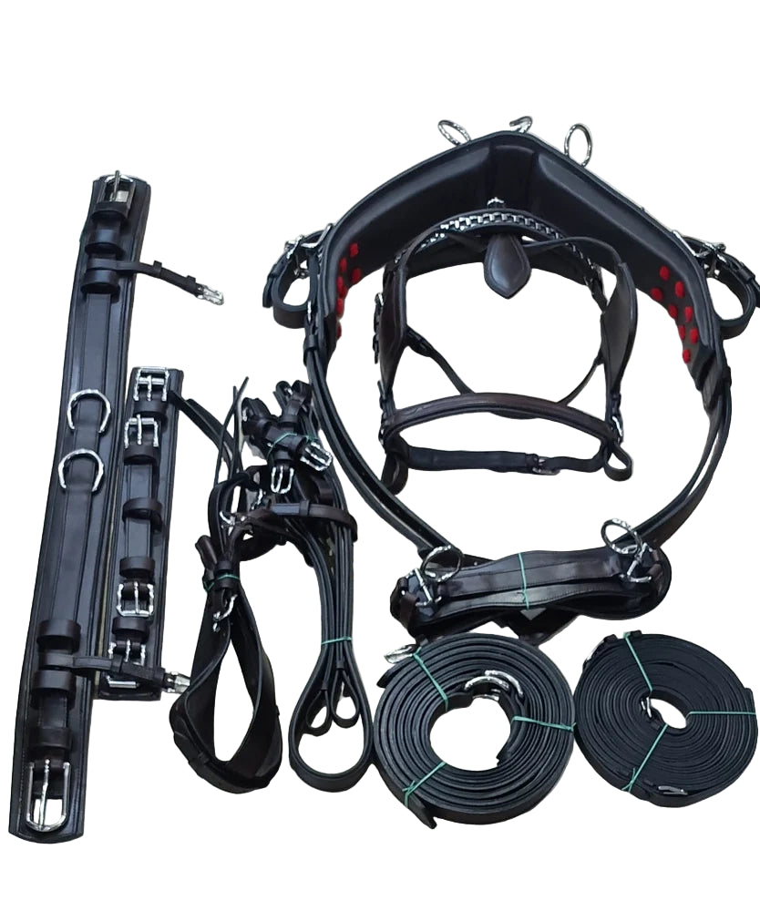 Set of black equestrian equipment including a bridle and reins on a tiled floor.