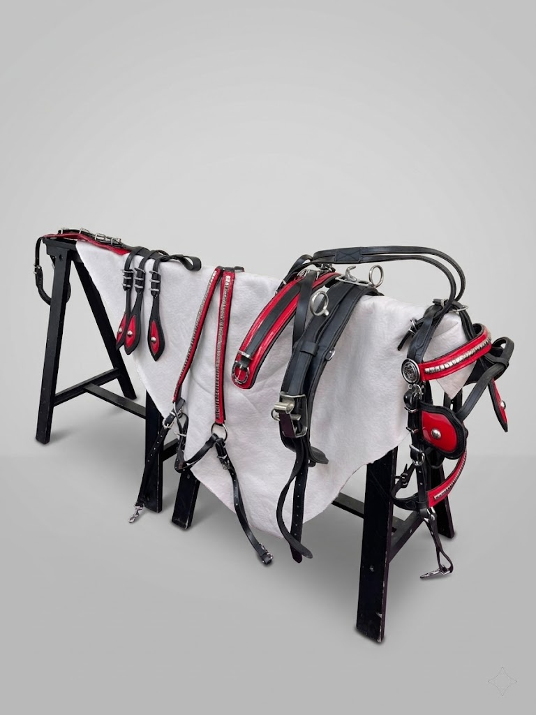 Quick Hitch Biothane Driving Harness with Waterproof Waffle Pad – Made to Order