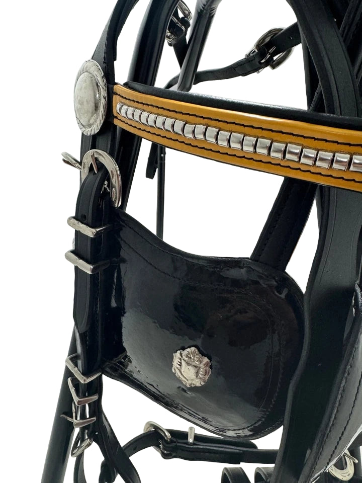Close-up of a black leather bridle with gold and silver accents on a white background