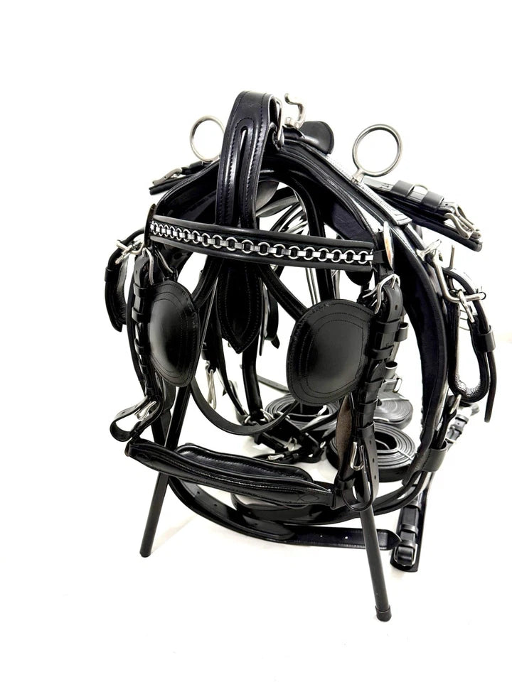 Collection of black leather horse bridles and reins on a white background