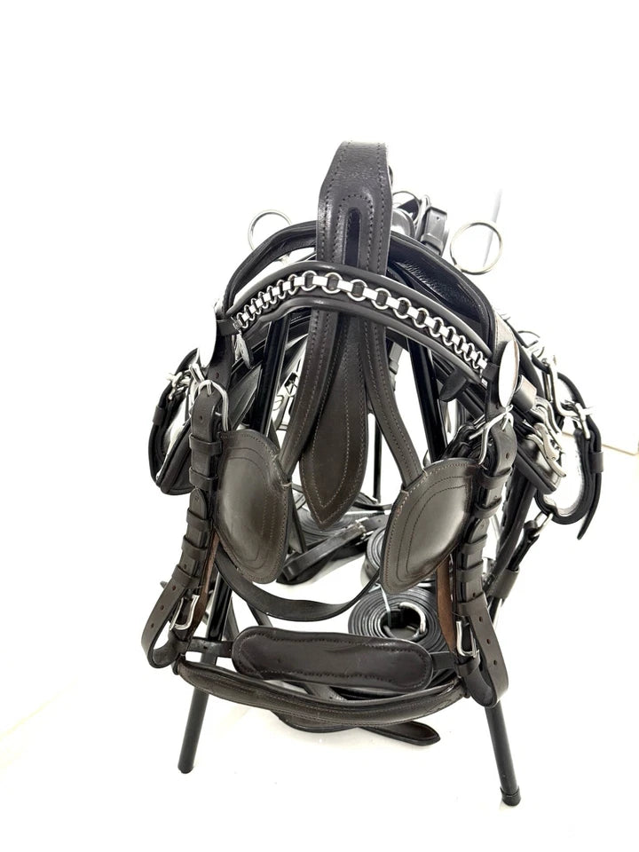 Black leather bridle with metal hardware on a white background