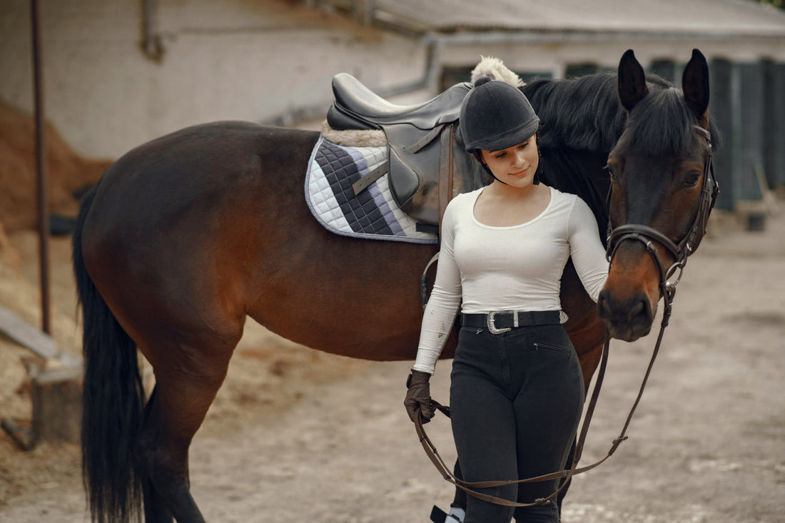 Why Leather Headcollar for Travelling? The Complete Guide for Horse Owners