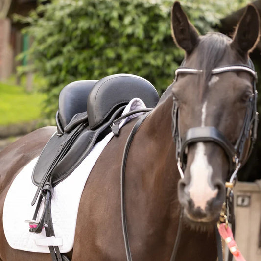 Saddle properly placed on horse’s back over a saddle pad for correct fit and comfort