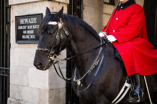 How to Fit a Double Bridle (Complete Step-by-Step Guide for Perfect Fit & Comfort)