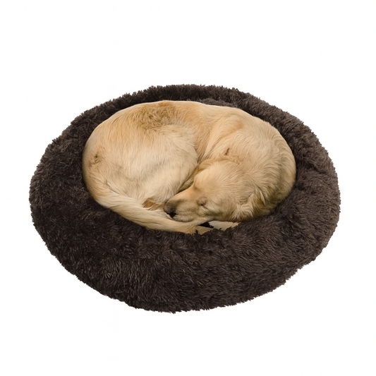 A dog Curled upon Criterion Donut Dog Bed