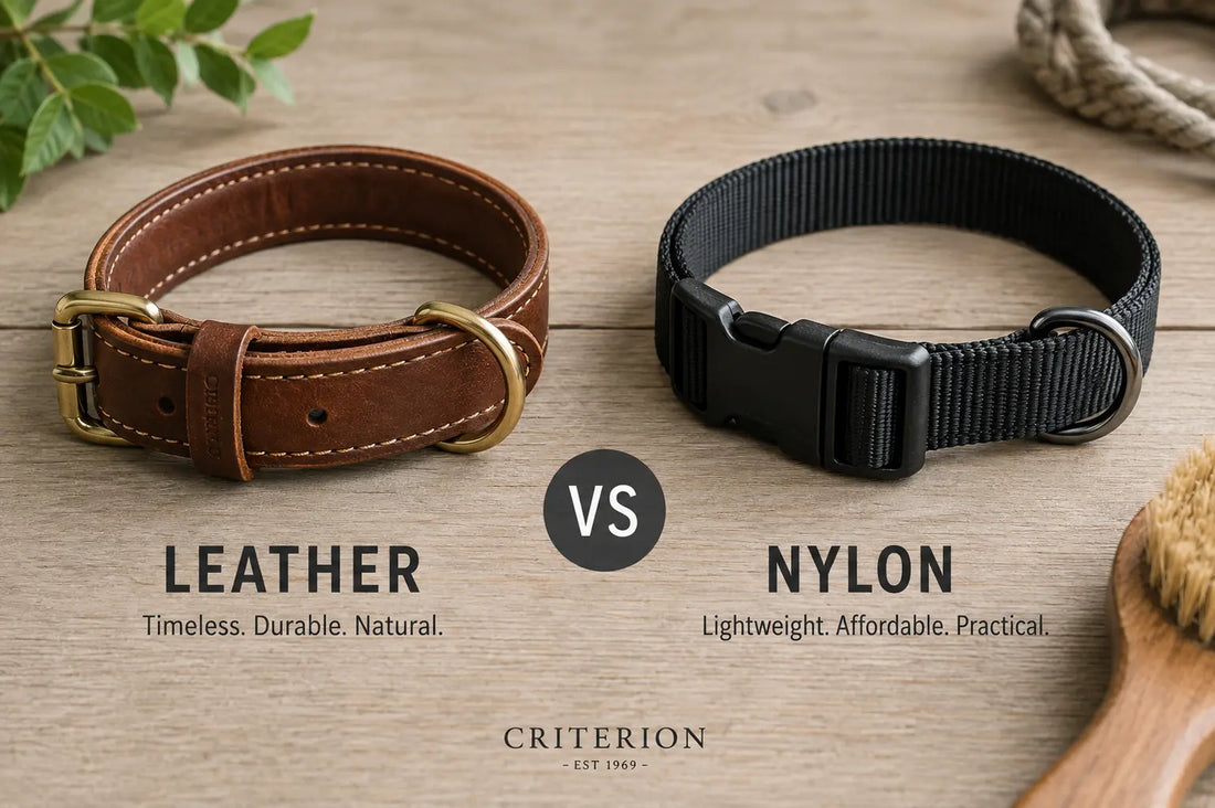 Leather dog collar next to a nylon dog collar, side by side comparison