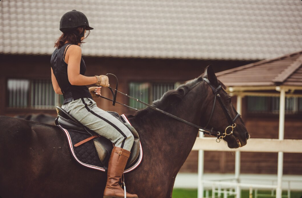 What Do the Reins Attach to on a Bridle? (Simple & Complete Guide)