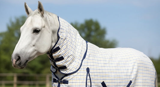 Do Horses Need Fly Rugs? A Welfare-First Guide for UK Conditions