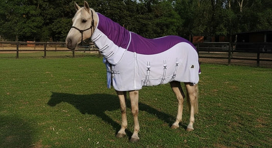 What Is the Best Fly Rug for Horses? Mesh, Combo & Hybrid Options Compared