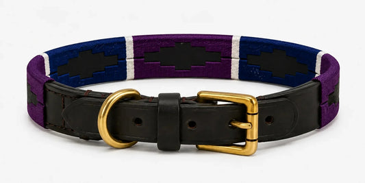 The History of the Polo Dog Collar: From Argentinian Belts to Everyday Walks