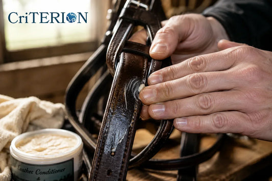 Horse tack cleaning kit with leather bridle and conditioner for show season prep