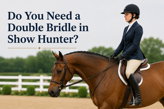 Do You Have to Use a Double Bridle in Show Hunter? Rules, Bits & Tack Explained