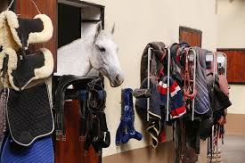 How Equestrian Retailers in London Source Wholesale Supplies: A Guide for Tack Shops & Pet Stores
