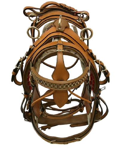 Brown leather horse bridle on a white background