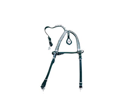Premium Leather Show Quick Hitch – Full Brass Work | Cob, Pony & Shetland Sizes