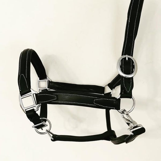 Beautiful Show-Stitching Leather Headcollar – Padded Comfort (Wholesale)