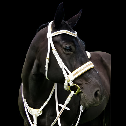 Wholesale White Leather Bridle – Metallic Gold Padding & Bling for Friesians