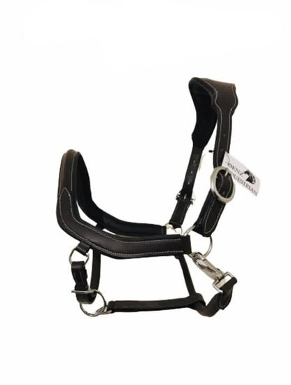 Brown anatomical leather headcollar on a white background