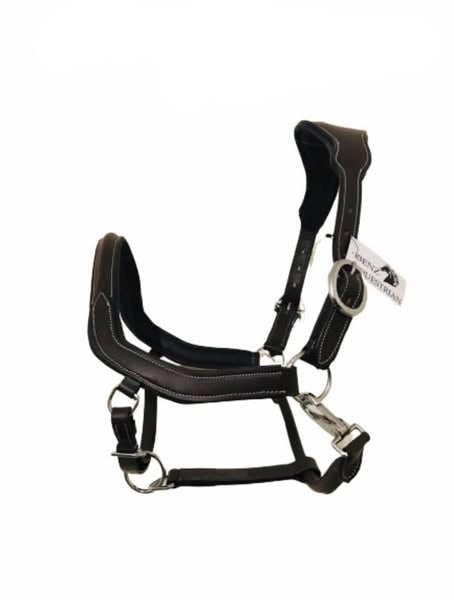 Brown anatomical leather headcollar on a white background