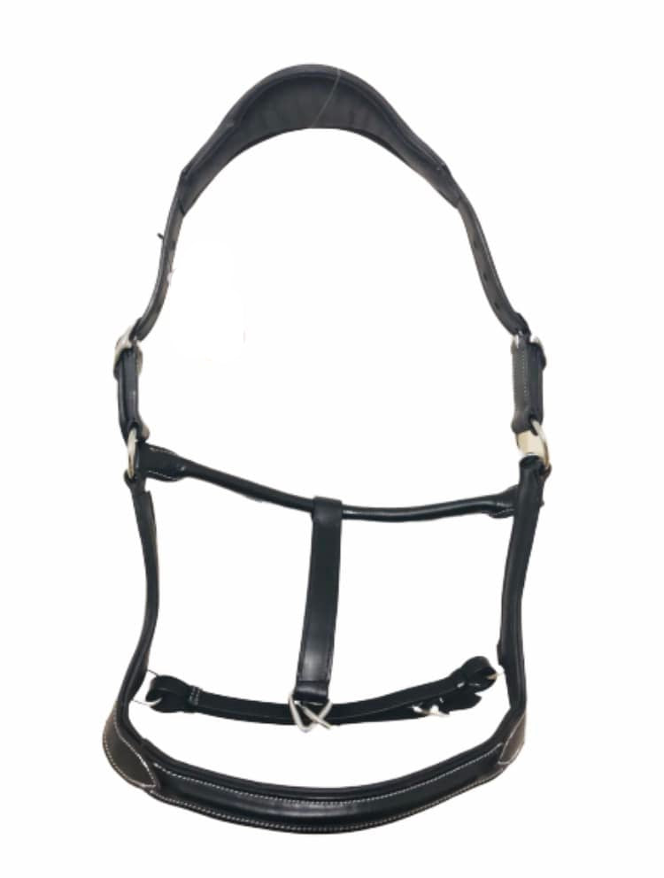 Anatomical Headcollar – Wholesale