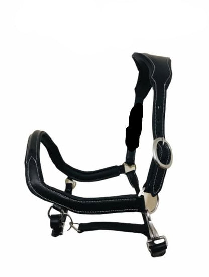Anatomical Headcollar – Wholesale